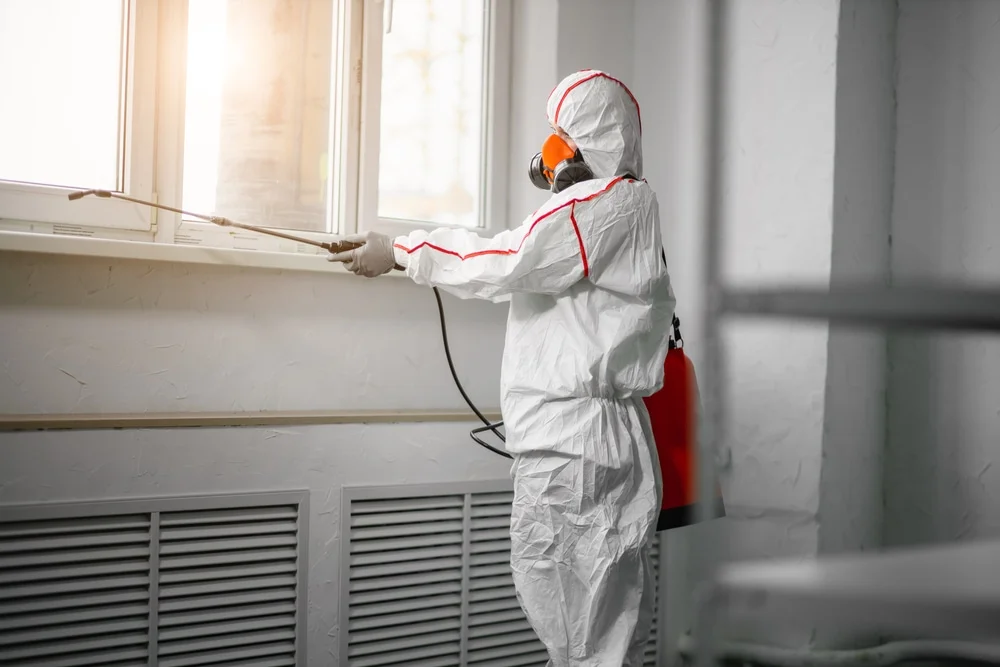 Professional mold remediation services in Whitfield, MS